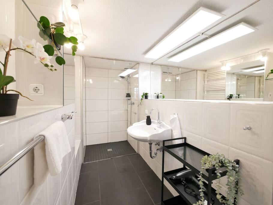 110 M2, Dachterrasse, Kueche, Zentral, Ruhige Lage Lejlighed Paderborn Eksteriør billede